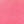 Pink lizard