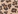 Brown and leopard