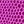 Violet lizard