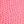 Pink lizard