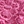Fuchsia leath