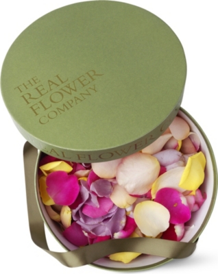 THE REAL FLOWER COMPANY Mixed colour scented rose petals