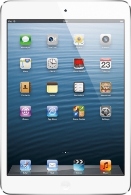 APPLE iPad mini with Wi-Fi 16GB