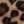 Leopard exclusive