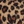 Leopard exclusive
