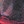 Red comb