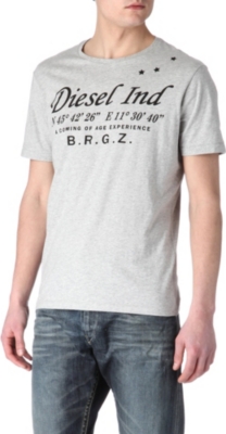 DIESEL T-coordinates-R t-shirt