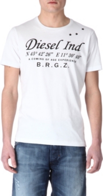DIESEL T-coordinates-R t-shirt