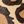 Beige oth