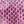 Fushia cmb