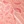 Coral/camelia