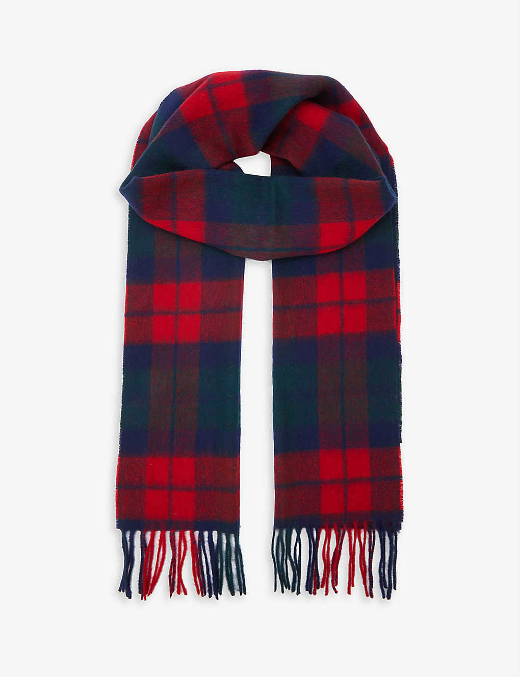 Tartan-pattern tassel wool and cashmere-blend scarf(9439479)