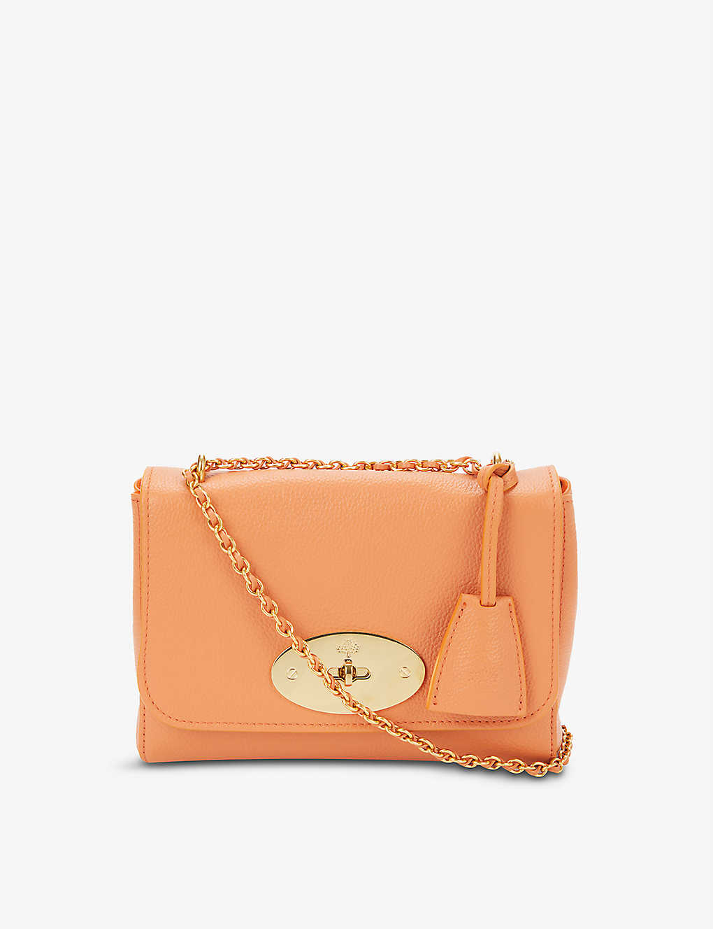 Lily grained-leather small cross-body bag(9472318)