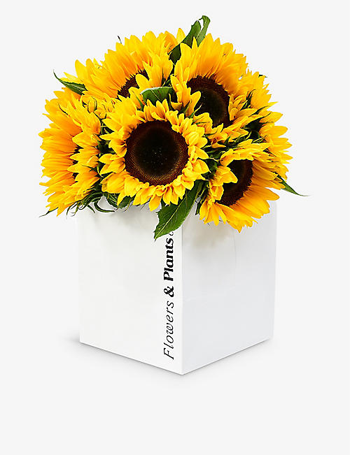 FLOWERS & PLANTS CO.: Sunflowers fresh flower bouquet