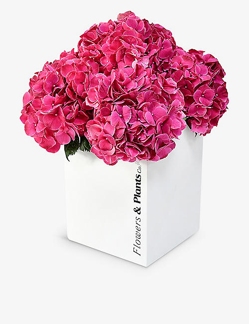FLOWERS & PLANTS CO.: Cerise hydrangea fresh-flower bouquet