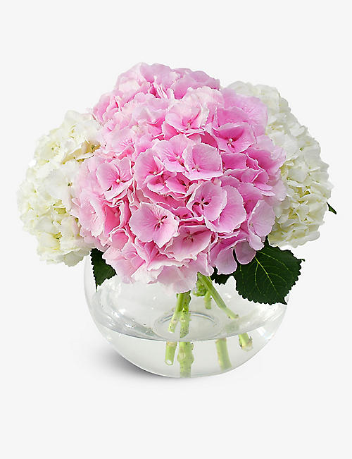 FLOWERS & PLANTS CO.: Pink and white hydrangea fresh-flower bouquet