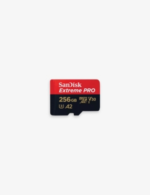 SANDISK: Extreme PRO 256GB microSD card