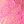 Leopard/pink