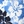0330 bleu ciel