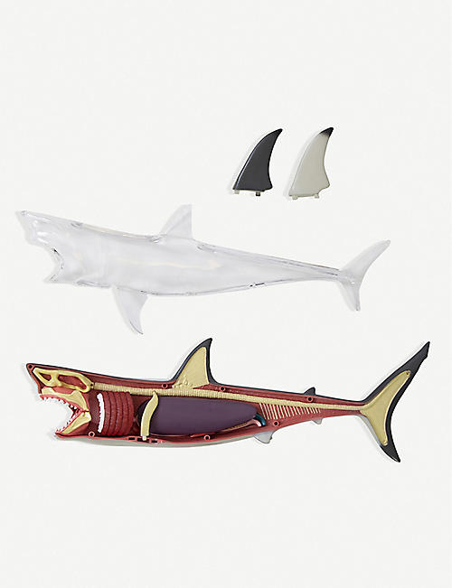 粮农组织施瓦茨发现：4D鲨鱼解剖套件