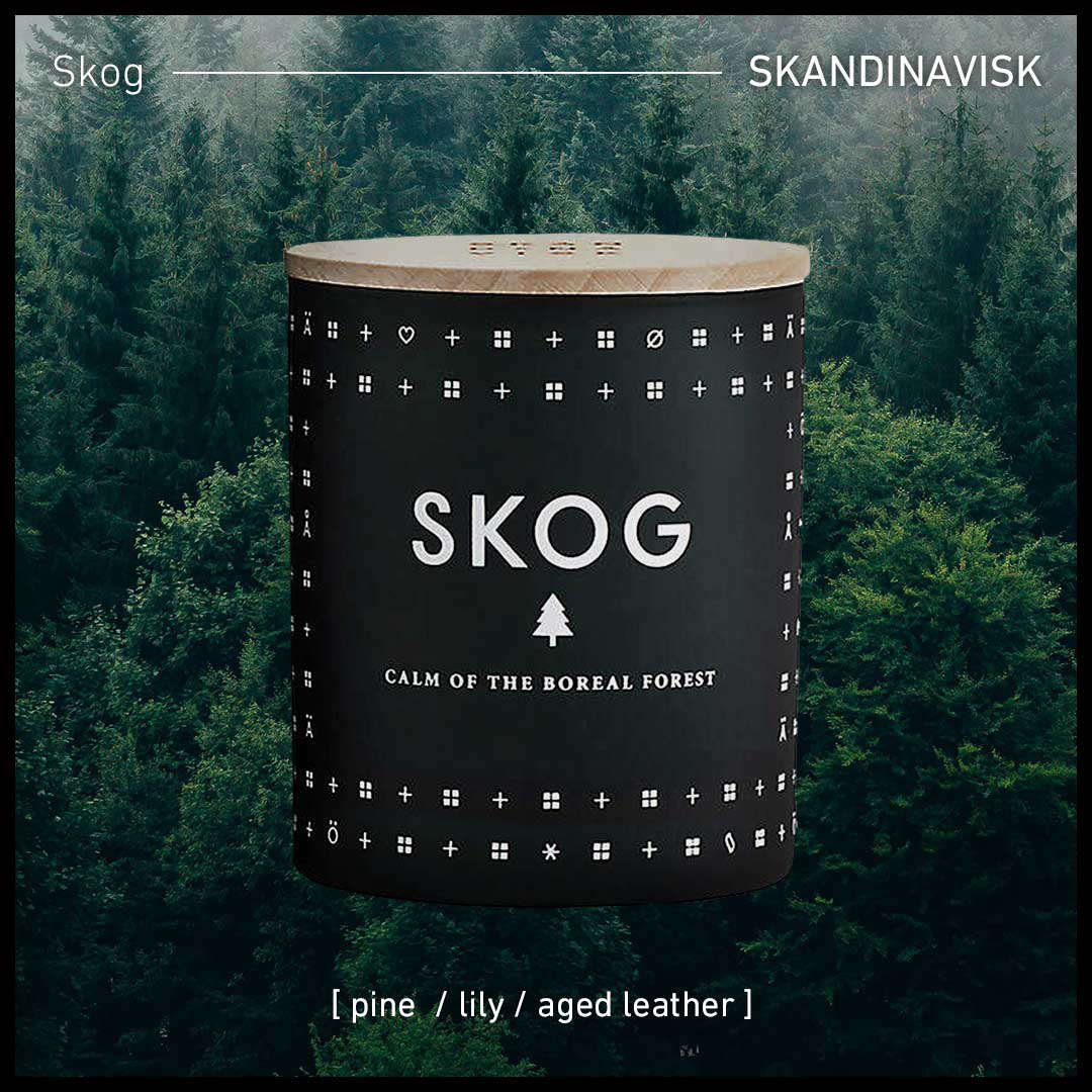 在家开启全新感官体验 Selfridges 精品指南 Selfridges