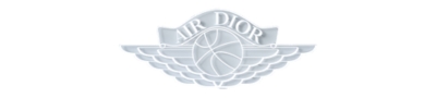 dior jordans selfridges