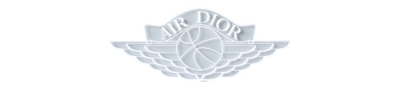 jordan dior logo