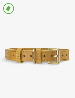 Selfridges 2024 dog collar