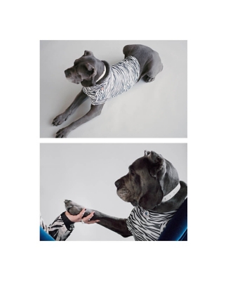 Prada Brand-plaque Recycled-nylon Handkerchief Dog Collar in Black