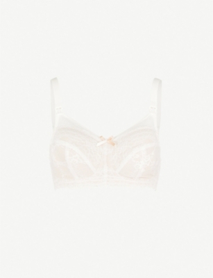 panache sports bra south africa