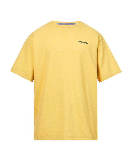 Patagonia T-shirt 