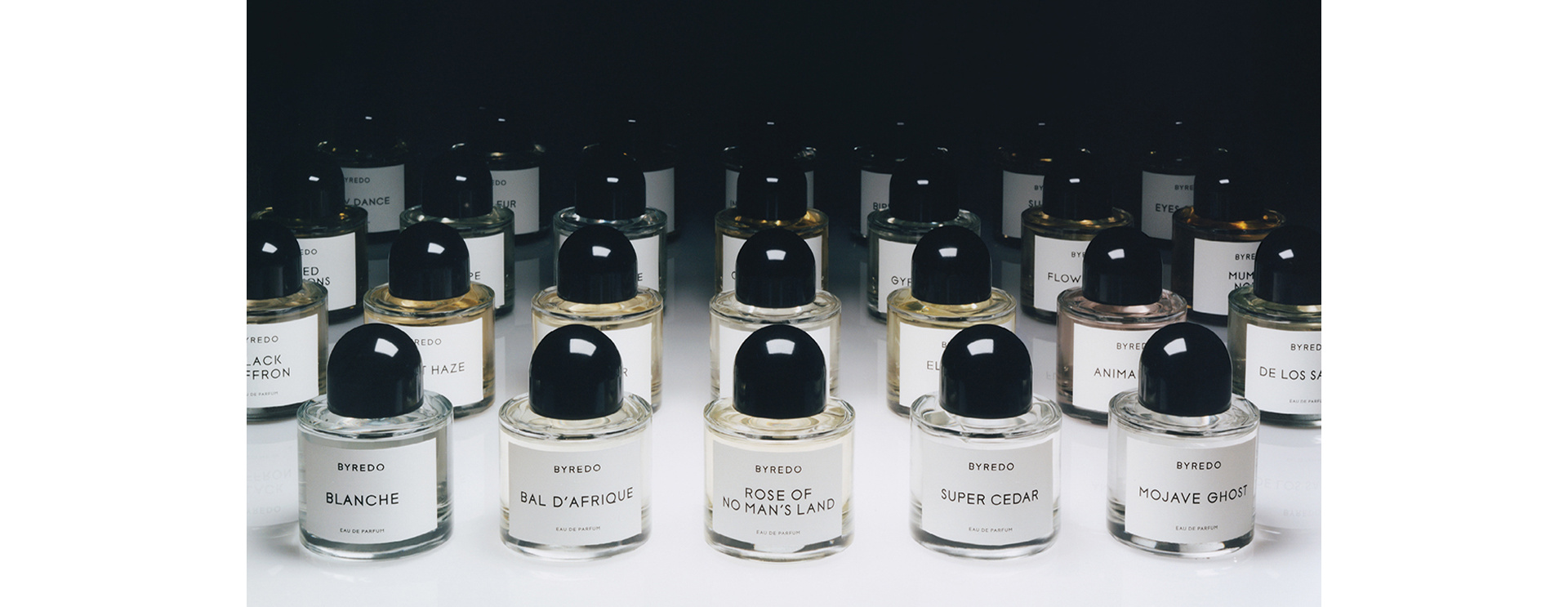 Signature Fragrances