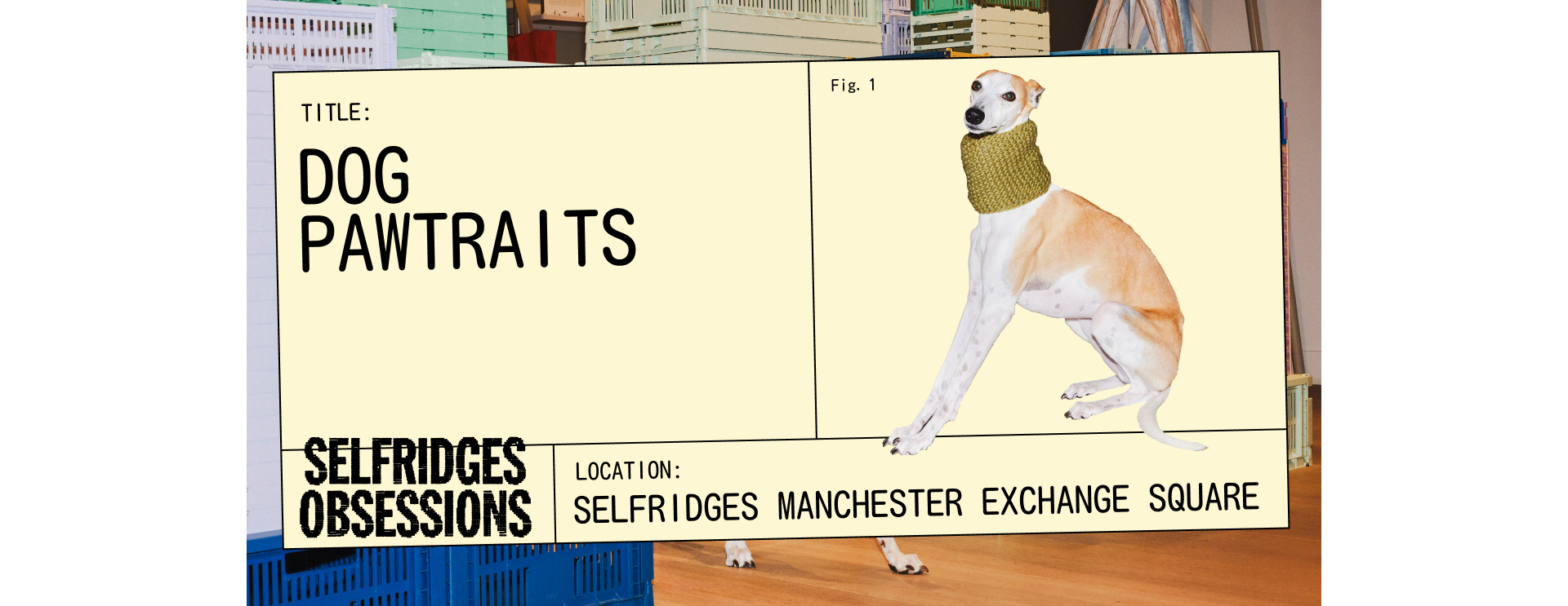 Dog pawtraits