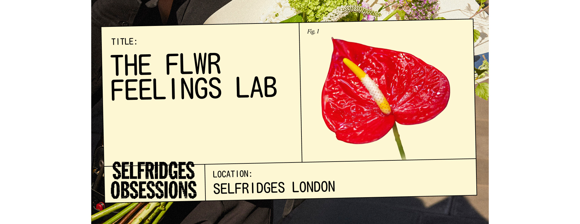 The FLWR Feelings lab