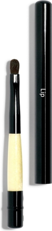 Retractable lip brush