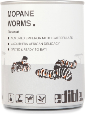 Mopane Worm Drawing