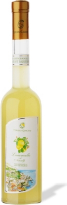 TERRA DI LIMONI: Liquore di Limone 500ml