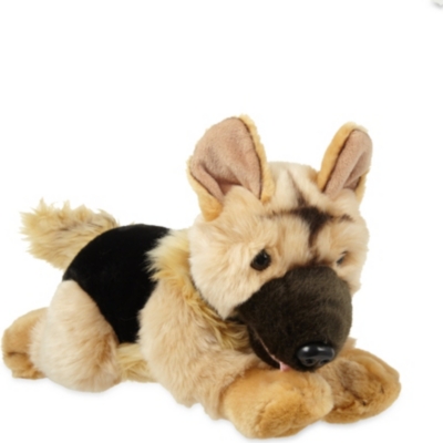 alsatian teddy