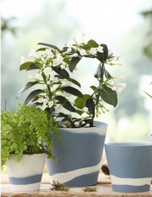 Wedgwood Burlington Jasperware Plant Pot 16 5cm Selfridges Com