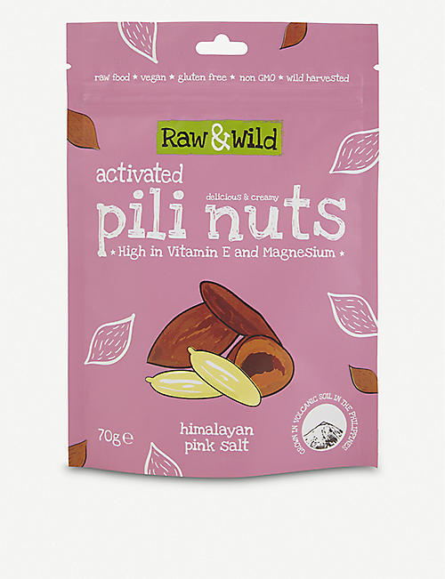 RAW & WILD: Himalayan Pink Salt Activated Pili Nuts 22g