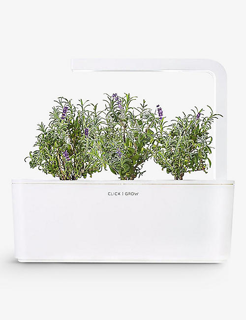 THE CONRAN SHOP: Click & Grow lavender seed refill, pack of three
