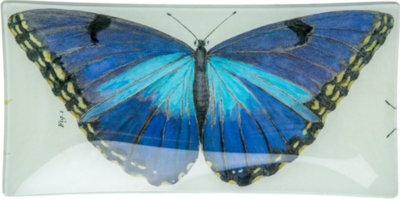 THE CONRAN SHOP   John Derian butterfly pencil tray 30cm