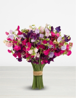 The Real Flower Company English Sweet Peas Large Scented Bouquet Selfridges Com