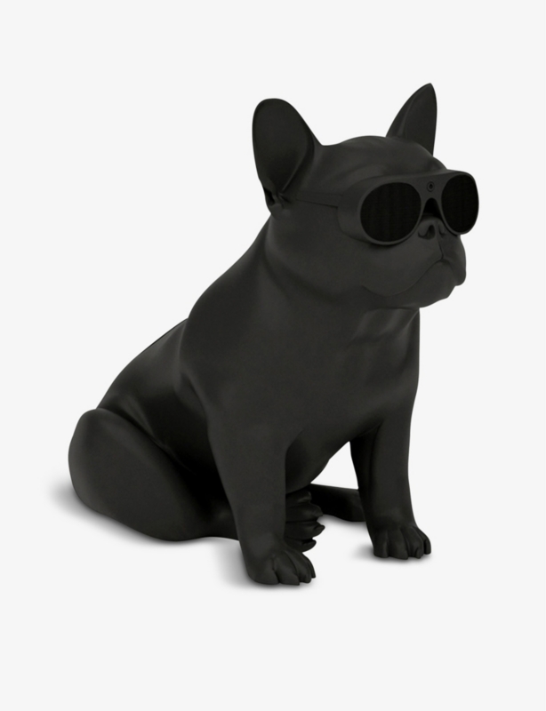 AeroBull XS1 speaker