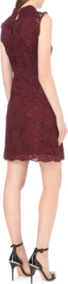 TED BAKER 'Latoya' Stand Collar Lace A-Line Dress in Oxblood | ModeSens