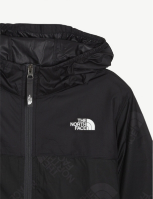 the north face mens coats