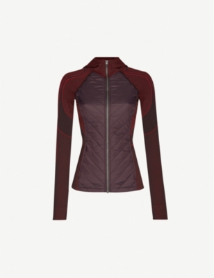 Speedy Seamless funn...