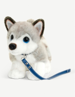 puppy on a lead toy