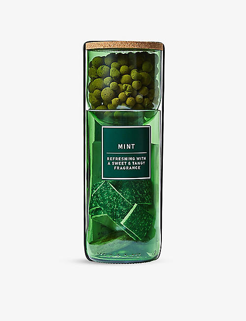 THE CONRAN SHOP: Hydro-Herb mint kit