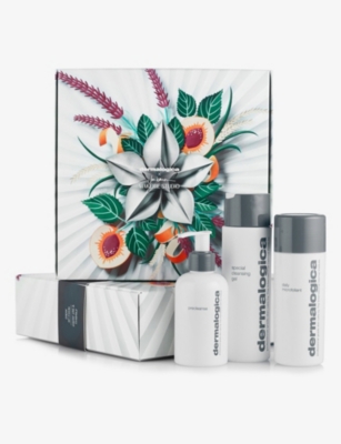 dermalogica gift set